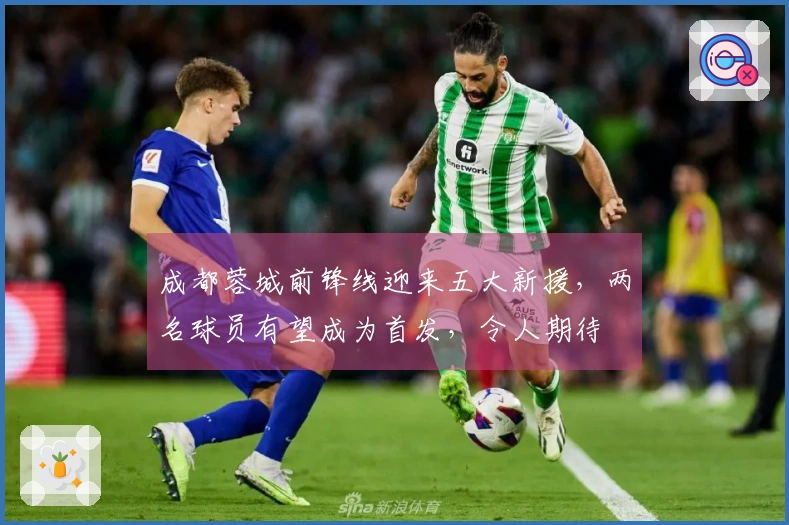 成都蓉城前锋线迎来五大新援，两名球员有望成为首发，令人期待