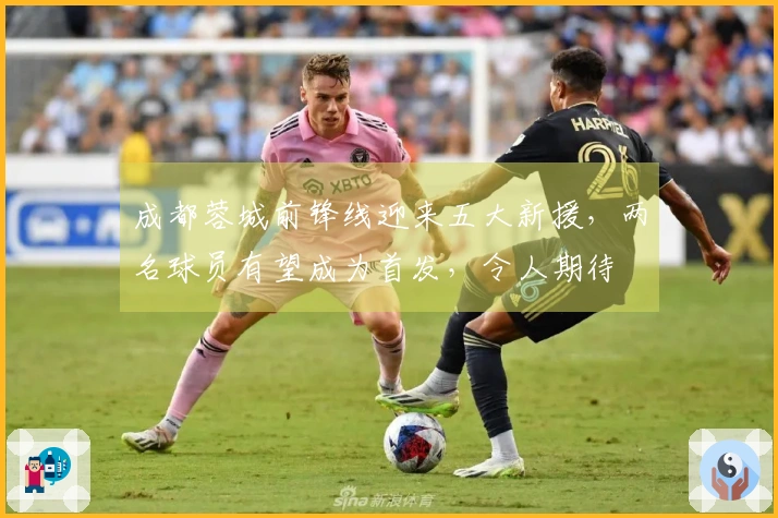 成都蓉城前锋线迎来五大新援，两名球员有望成为首发，令人期待