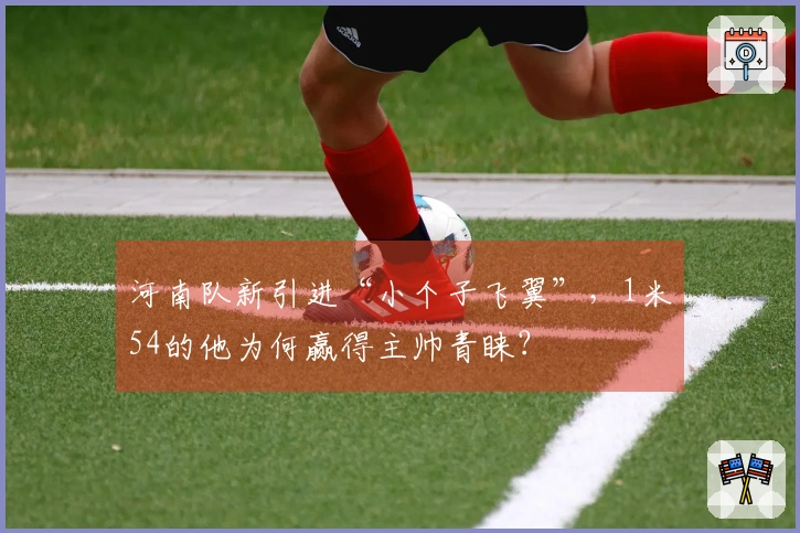 河南队新引进“小个子飞翼”，1米54的他为何赢得主帅青睐？
