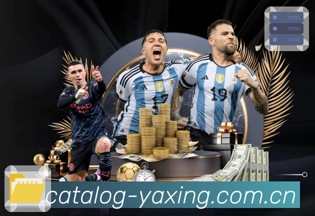 亚星官网体验保障与平台能力